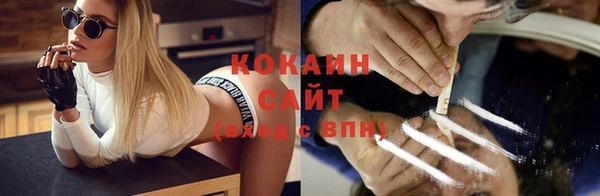 сатива Абаза