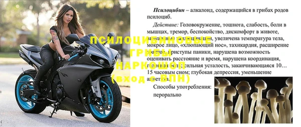 сатива Абаза