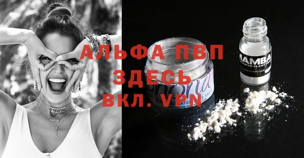 сатива Абаза