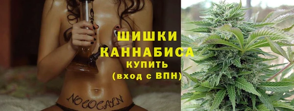 сатива Абаза
